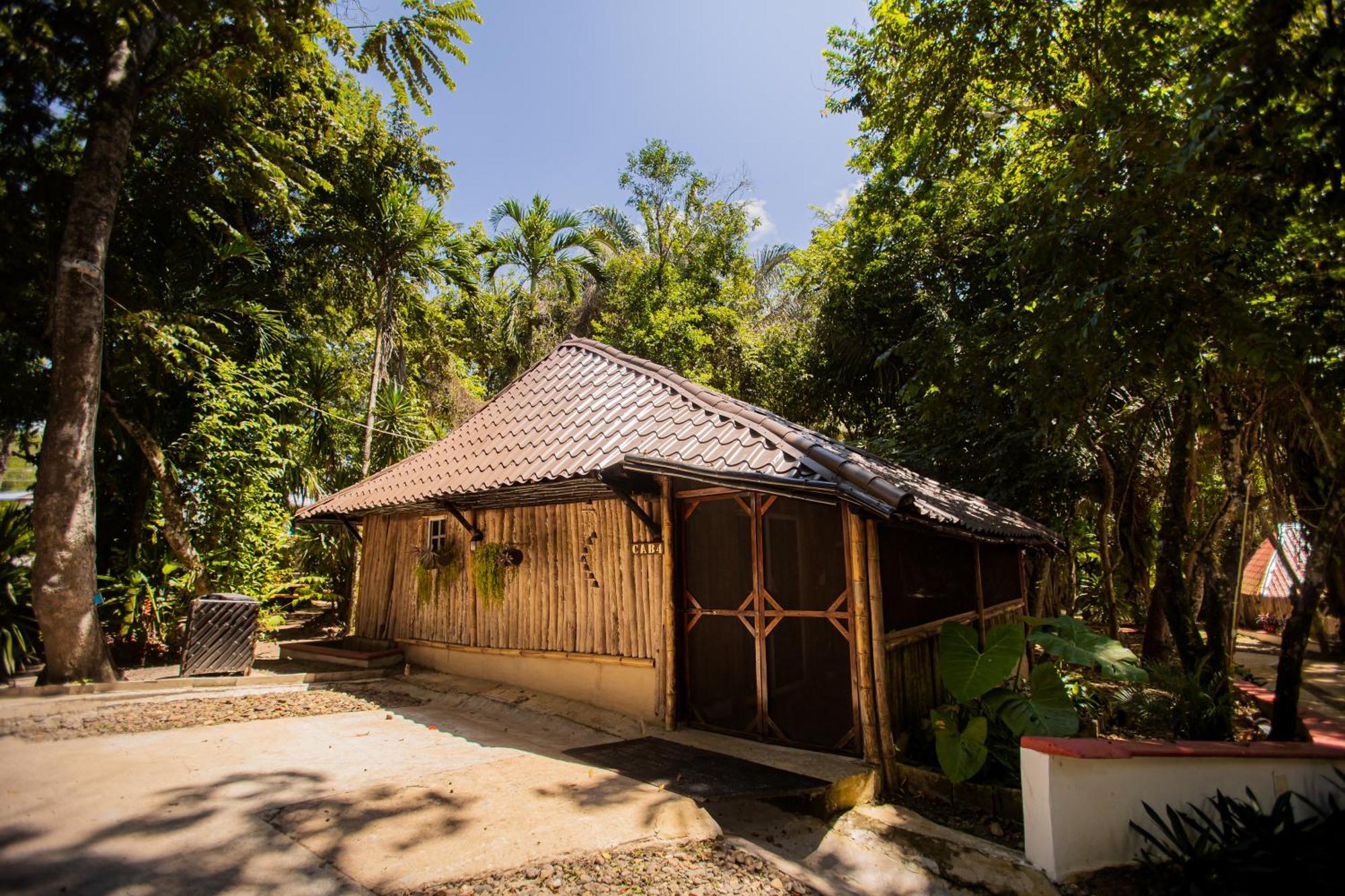 Falling Leaves Lodge San Ignacio Εξωτερικό φωτογραφία