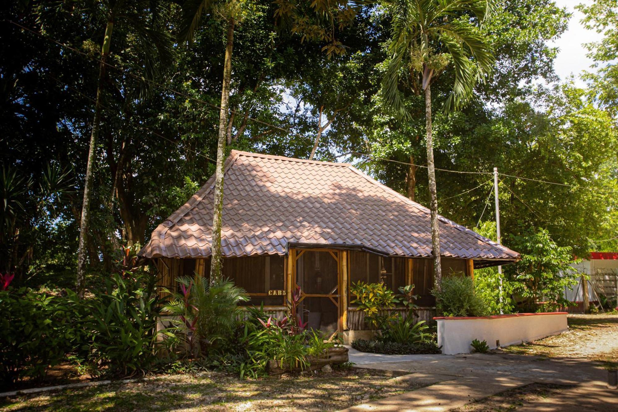Falling Leaves Lodge San Ignacio Εξωτερικό φωτογραφία