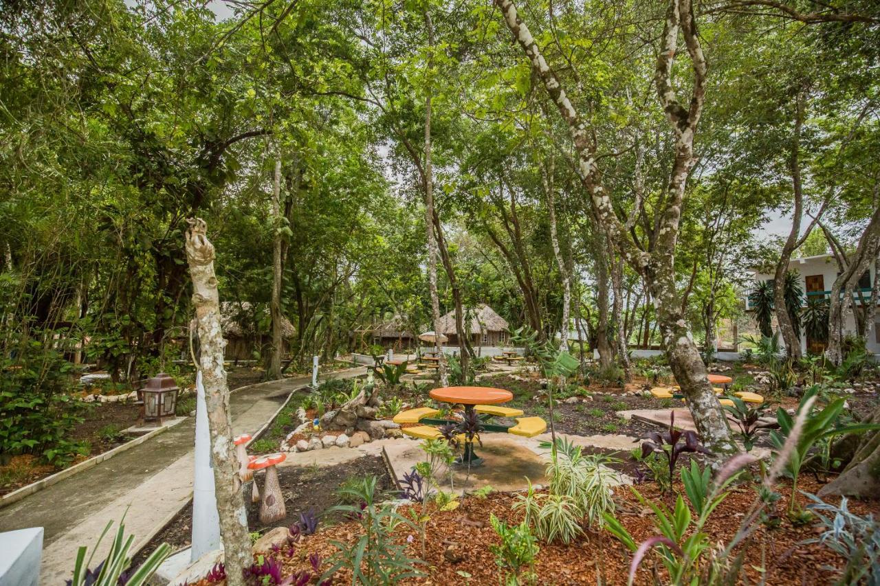 Falling Leaves Lodge San Ignacio Εξωτερικό φωτογραφία