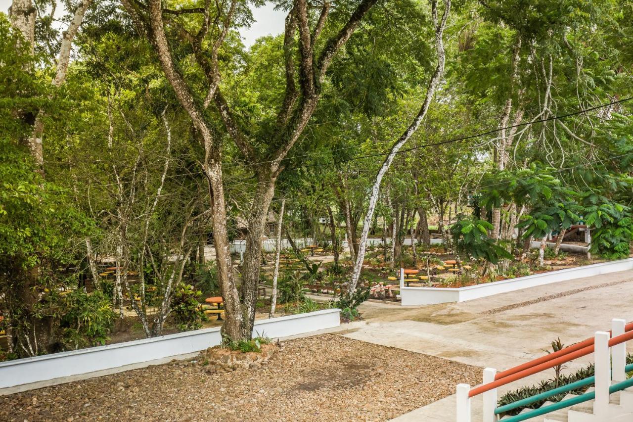 Falling Leaves Lodge San Ignacio Εξωτερικό φωτογραφία