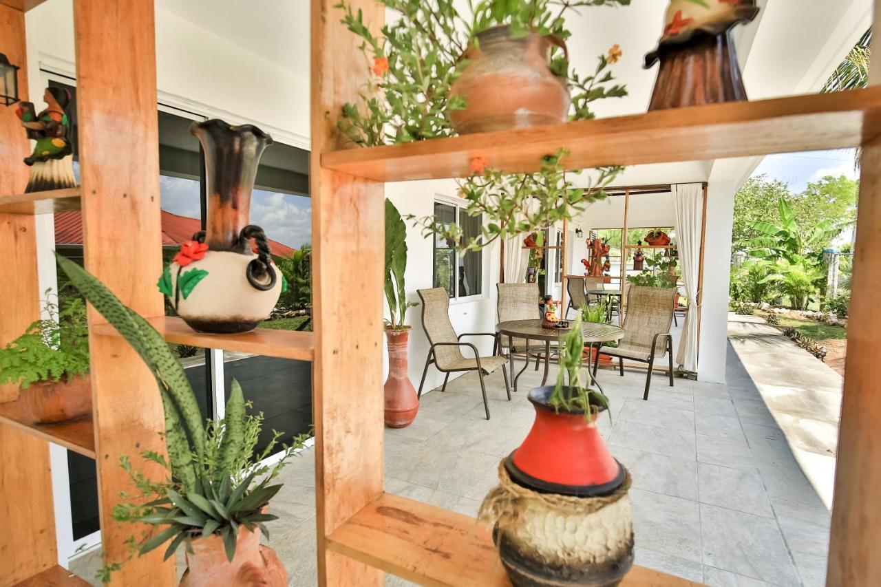 Falling Leaves Lodge San Ignacio Εξωτερικό φωτογραφία